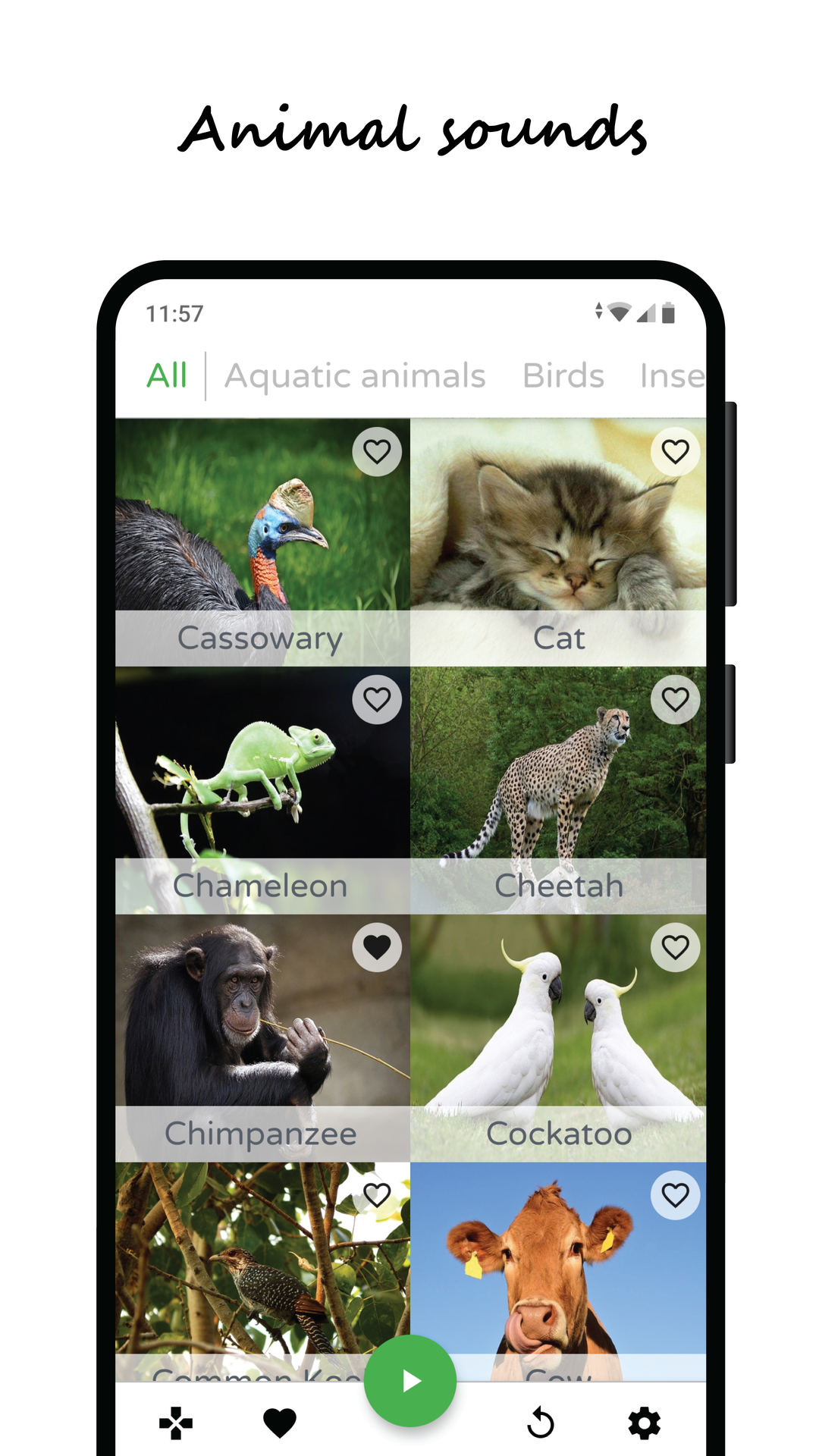 Animal Sounds, Animal Games | It's All Widgets!